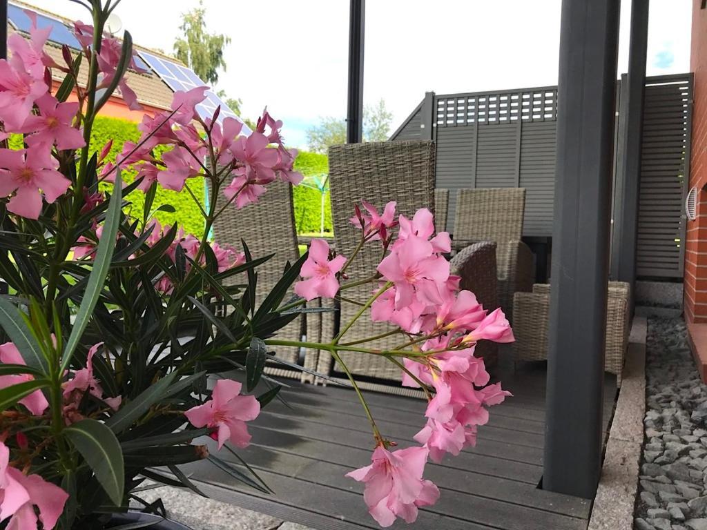 Haus Im Gruenen Apartman Heringsdorf  Kültér fotó